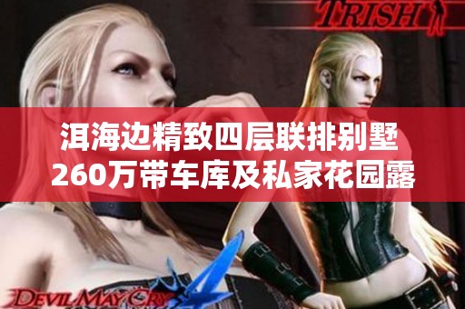 洱海边精致四层联排别墅 260万带车库及私家花园露台