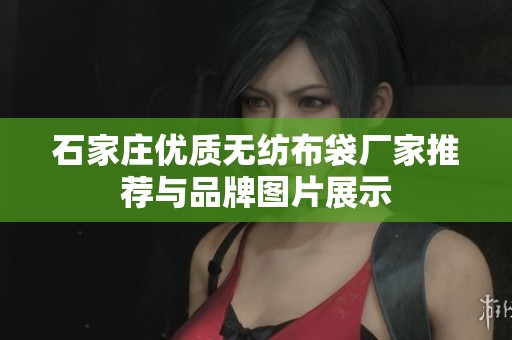 石家庄优质无纺布袋厂家推荐与品牌图片展示