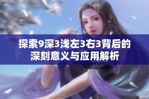 探索9深3浅左3右3背后的深刻意义与应用解析