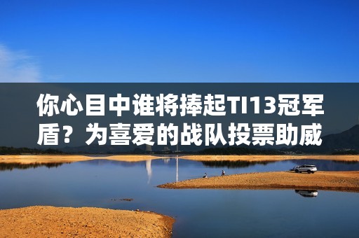 你心目中谁将捧起TI13冠军盾？为喜爱的战队投票助威吧！