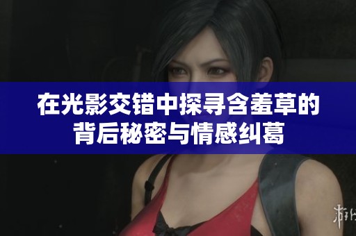 在光影交错中探寻含羞草的背后秘密与情感纠葛