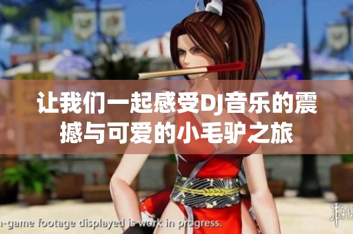 让我们一起感受DJ音乐的震撼与可爱的小毛驴之旅