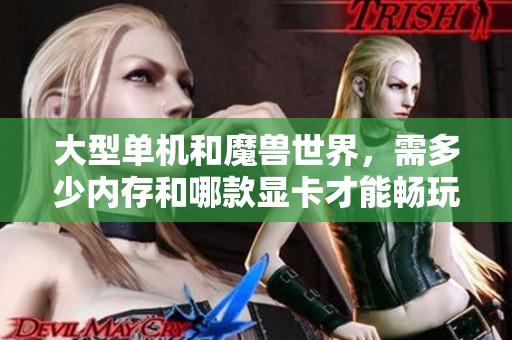 大型单机和魔兽世界，需多少内存和哪款显卡才能畅玩