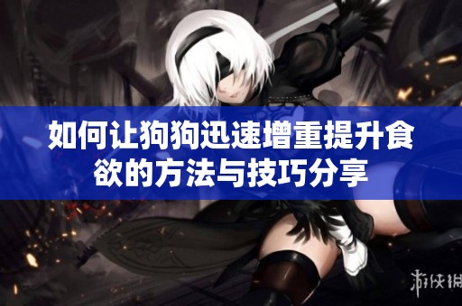 如何让狗狗迅速增重提升食欲的方法与技巧分享