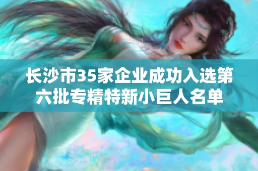 长沙市35家企业成功入选第六批专精特新小巨人名单