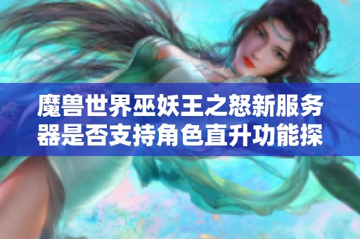 魔兽世界巫妖王之怒新服务器是否支持角色直升功能探讨
