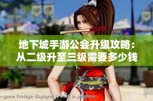 地下城手游公会升级攻略：从二级升至三级需要多少钱