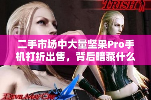 二手市场中大量坚果Pro手机打折出售，背后暗藏什么秘密？