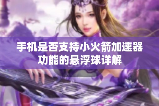 手机是否支持小火箭加速器功能的悬浮球详解