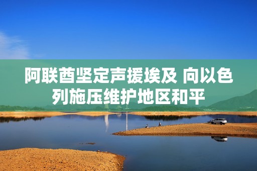 阿联酋坚定声援埃及 向以色列施压维护地区和平