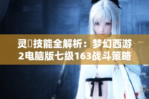 灵箓技能全解析：梦幻西游2电脑版七级163战斗策略探讨