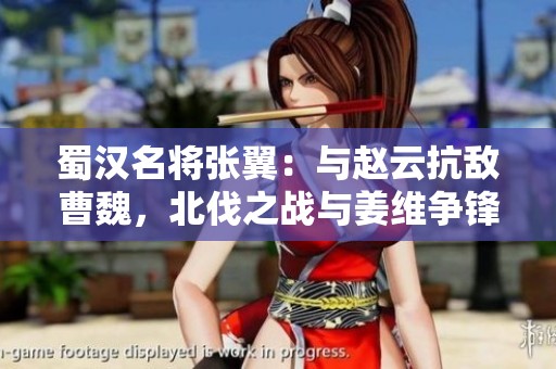 蜀汉名将张翼：与赵云抗敌曹魏，北伐之战与姜维争锋相对