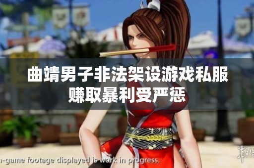 曲靖男子非法架设游戏私服赚取暴利受严惩