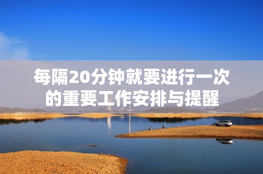 每隔20分钟就要进行一次的重要工作安排与提醒
