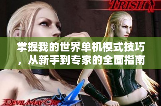 掌握我的世界单机模式技巧，从新手到专家的全面指南
