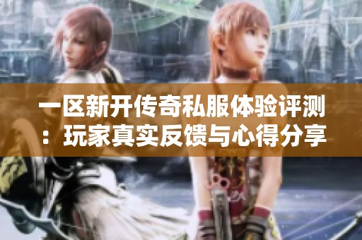 一区新开传奇私服体验评测：玩家真实反馈与心得分享