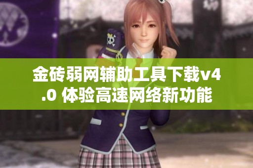 金砖弱网辅助工具下载v4.0 体验高速网络新功能
