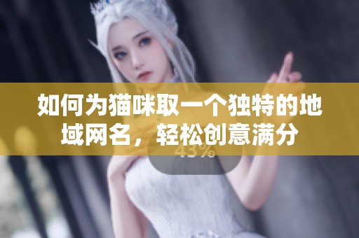如何为猫咪取一个独特的地域网名，轻松创意满分