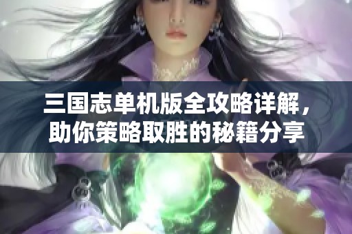 三国志单机版全攻略详解，助你策略取胜的秘籍分享