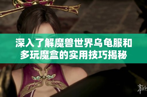 深入了解魔兽世界乌龟服和多玩魔盒的实用技巧揭秘