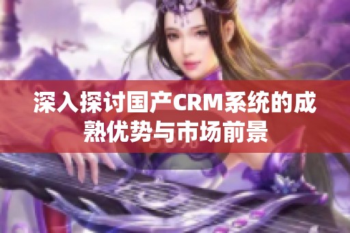 深入探讨国产CRM系统的成熟优势与市场前景