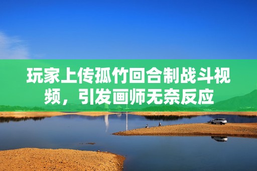 玩家上传孤竹回合制战斗视频，引发画师无奈反应