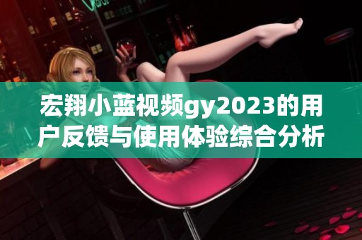 宏翔小蓝视频gy2023的用户反馈与使用体验综合分析