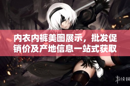 内衣内裤美图展示，批发促销价及产地信息一站式获取