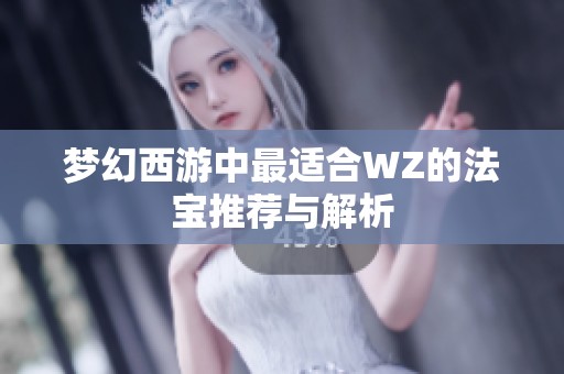 梦幻西游中最适合WZ的法宝推荐与解析