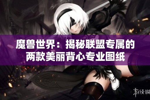 魔兽世界：揭秘联盟专属的两款美丽背心专业图纸