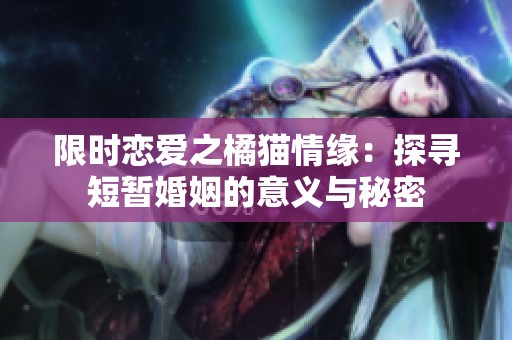 限时恋爱之橘猫情缘：探寻短暂婚姻的意义与秘密