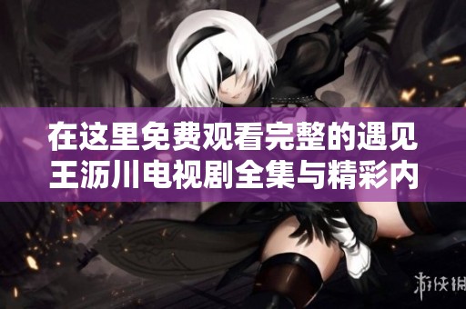 在这里免费观看完整的遇见王沥川电视剧全集与精彩内容分析