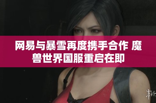 网易与暴雪再度携手合作 魔兽世界国服重启在即