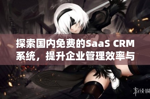 探索国内免费的SaaS CRM系统，提升企业管理效率与客户关系