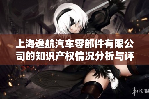 上海逸航汽车零部件有限公司的知识产权情况分析与评估