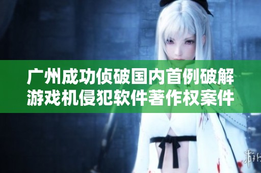 广州成功侦破国内首例破解游戏机侵犯软件著作权案件