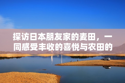 探访日本朋友家的麦田，一同感受丰收的喜悦与农田的魅力