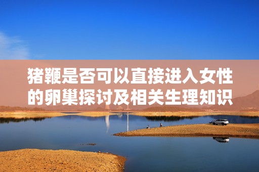 猪鞭是否可以直接进入女性的卵巢探讨及相关生理知识