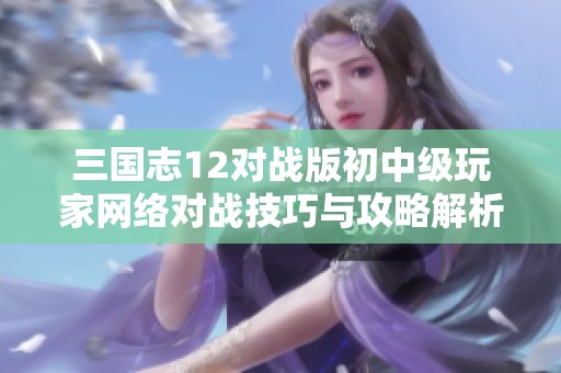 三国志12对战版初中级玩家网络对战技巧与攻略解析