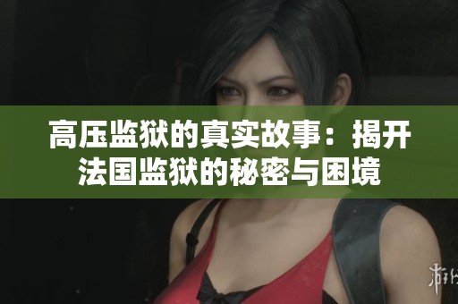 高压监狱的真实故事：揭开法国监狱的秘密与困境