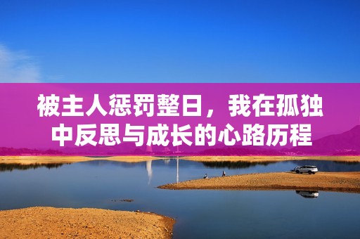 被主人惩罚整日，我在孤独中反思与成长的心路历程
