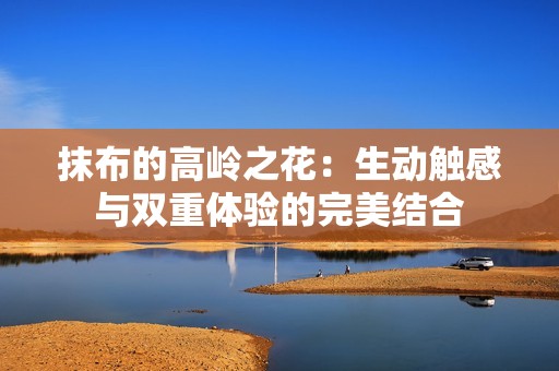 抹布的高岭之花：生动触感与双重体验的完美结合