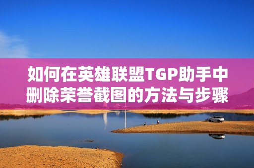 如何在英雄联盟TGP助手中删除荣誉截图的方法与步骤