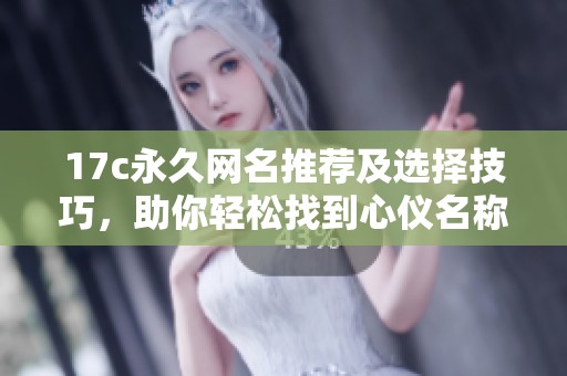 17c永久网名推荐及选择技巧，助你轻松找到心仪名称