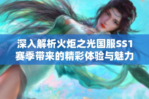 深入解析火炬之光国服SS1赛季带来的精彩体验与魅力