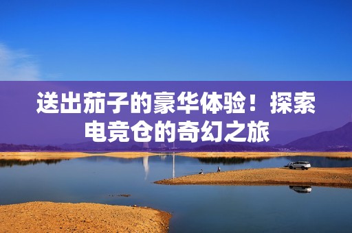 送出茄子的豪华体验！探索电竞仓的奇幻之旅