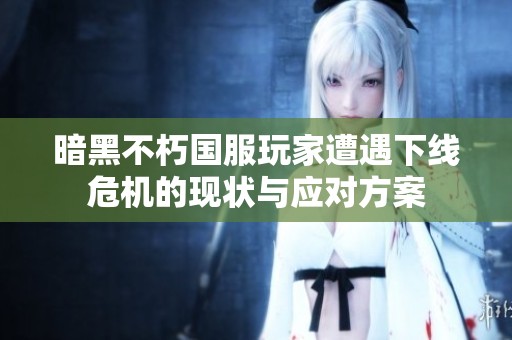 暗黑不朽国服玩家遭遇下线危机的现状与应对方案