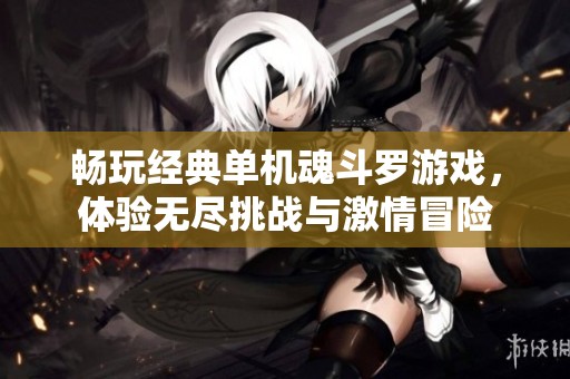 畅玩经典单机魂斗罗游戏，体验无尽挑战与激情冒险