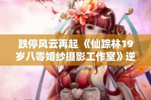 跌停风云再起 《仙踪林19岁八零婚纱摄影工作室》逆袭剧情引人瞩目