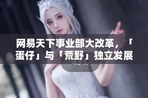 网易天下事业部大改革，「蛋仔」与「荒野」独立发展新篇章